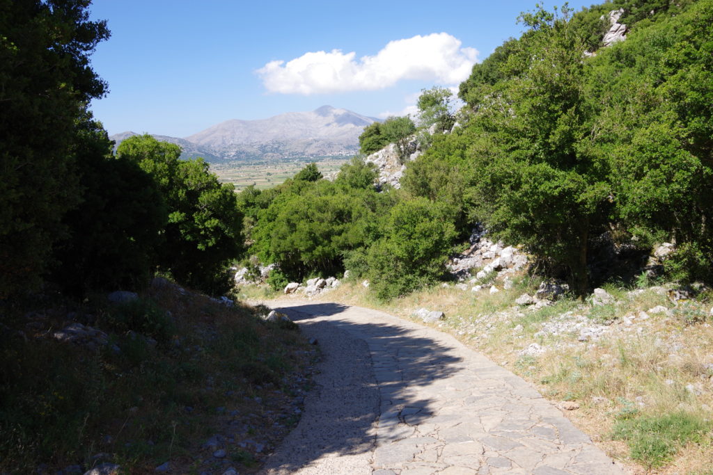 Blick hinab eines Wanderwegs aus Steinplatten, umrahmt von Bäumen. Im Hintergrund Hochebene, dahinter ein Berg unter fast wolkenlosem Himmel