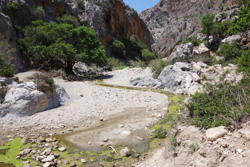 Agiofarango Schlucht: Bachlauf