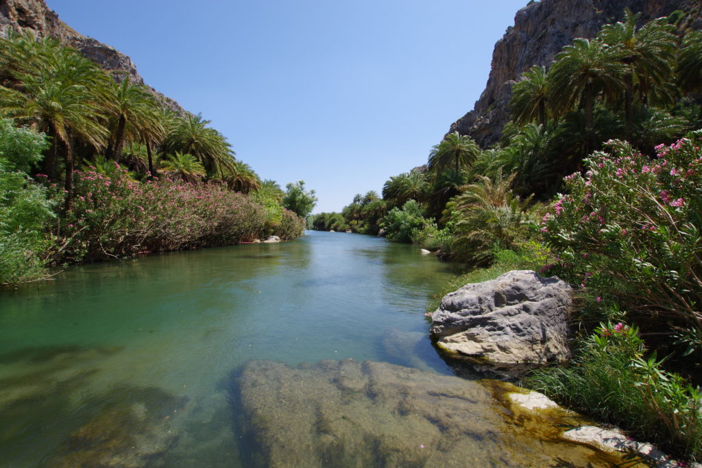 Blick auf Fluss, umrahmt von Palmen in einer Schlucht.