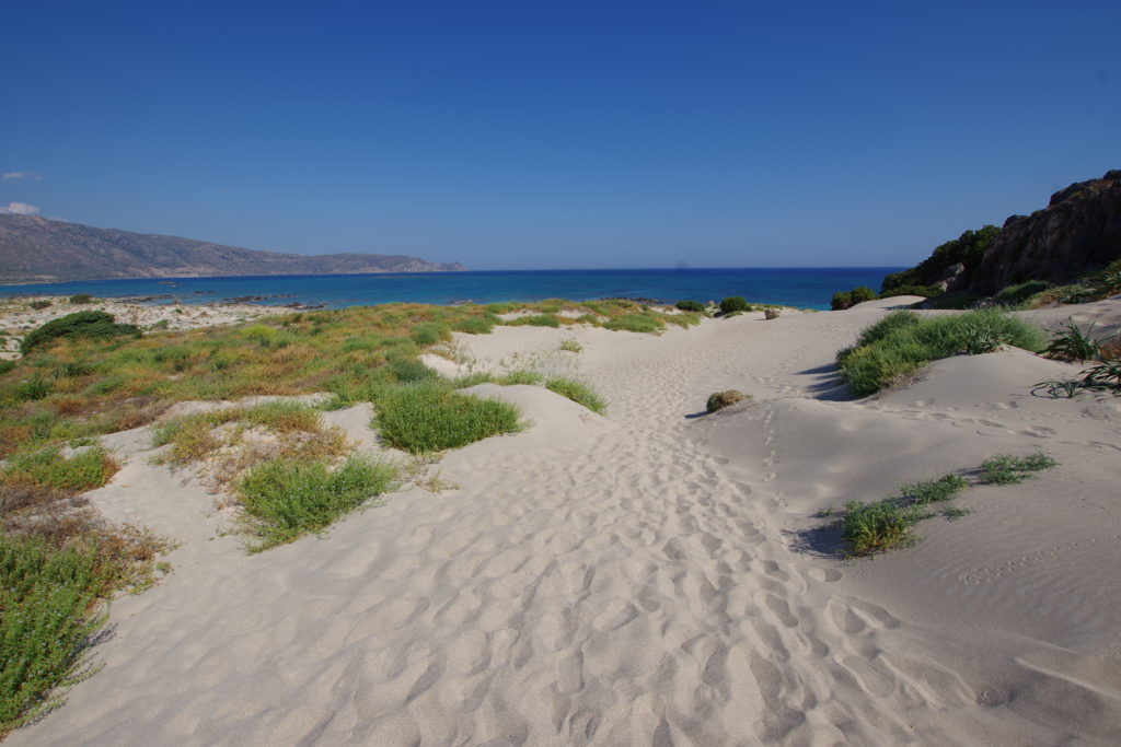 Helle Stranddünen mit grünem Bewuchs, dahinter das Meer