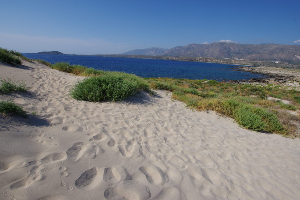 Blick von Sanddüne mit Dünenpflanzen auf dunkelblaues Meer, dahinter Berge