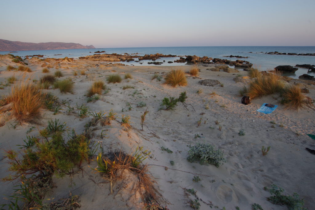 Leicht bewachsener Dünenstrand mit Blick aufs Meer in der Abendsonne