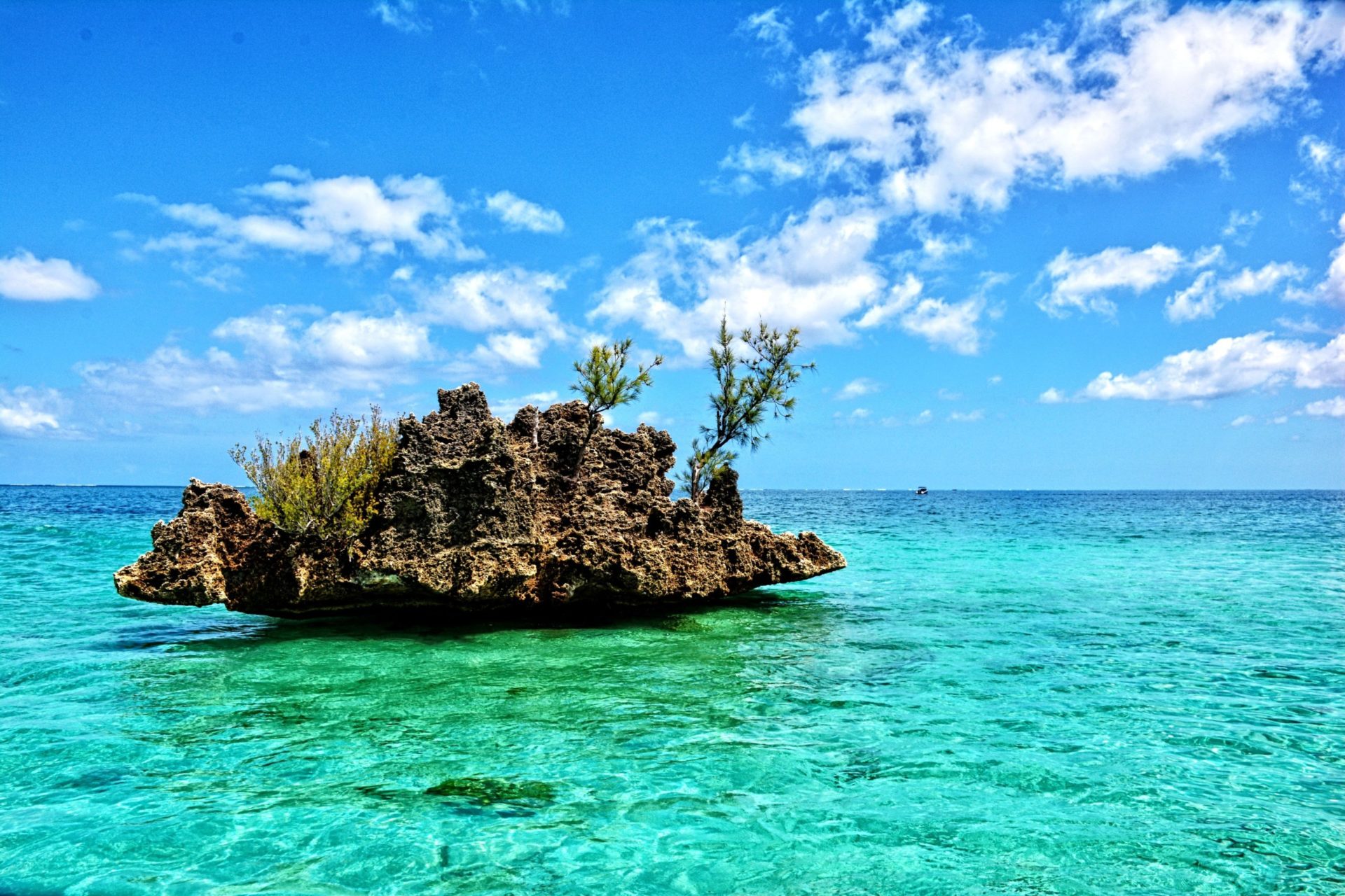 Wassertemperatur Mauritius: Crystal Rock bei Le Morne