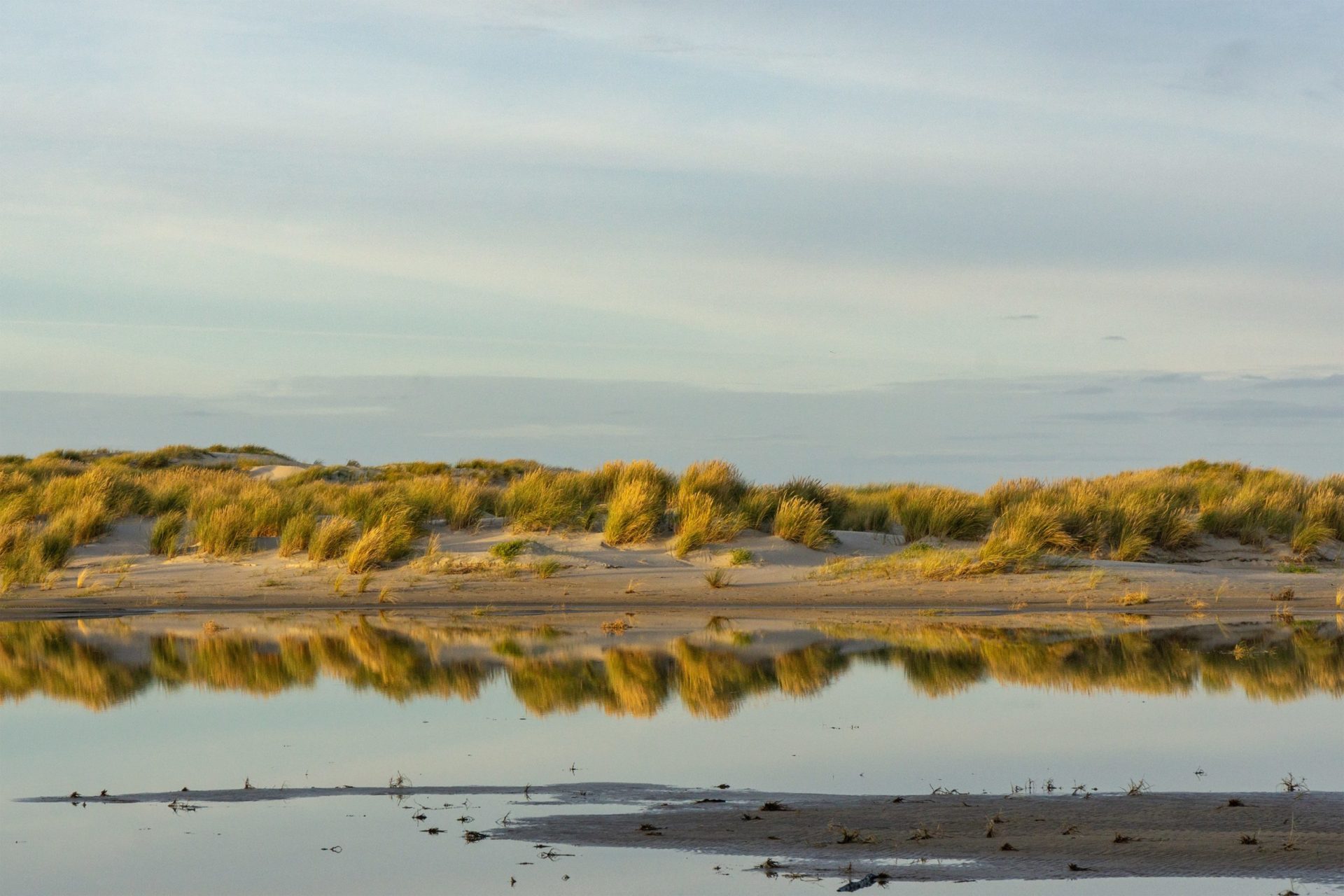 Wassertemperatur Norderney: Stranddünen mit Dünengras, welches sich im Meewasser spiegelt