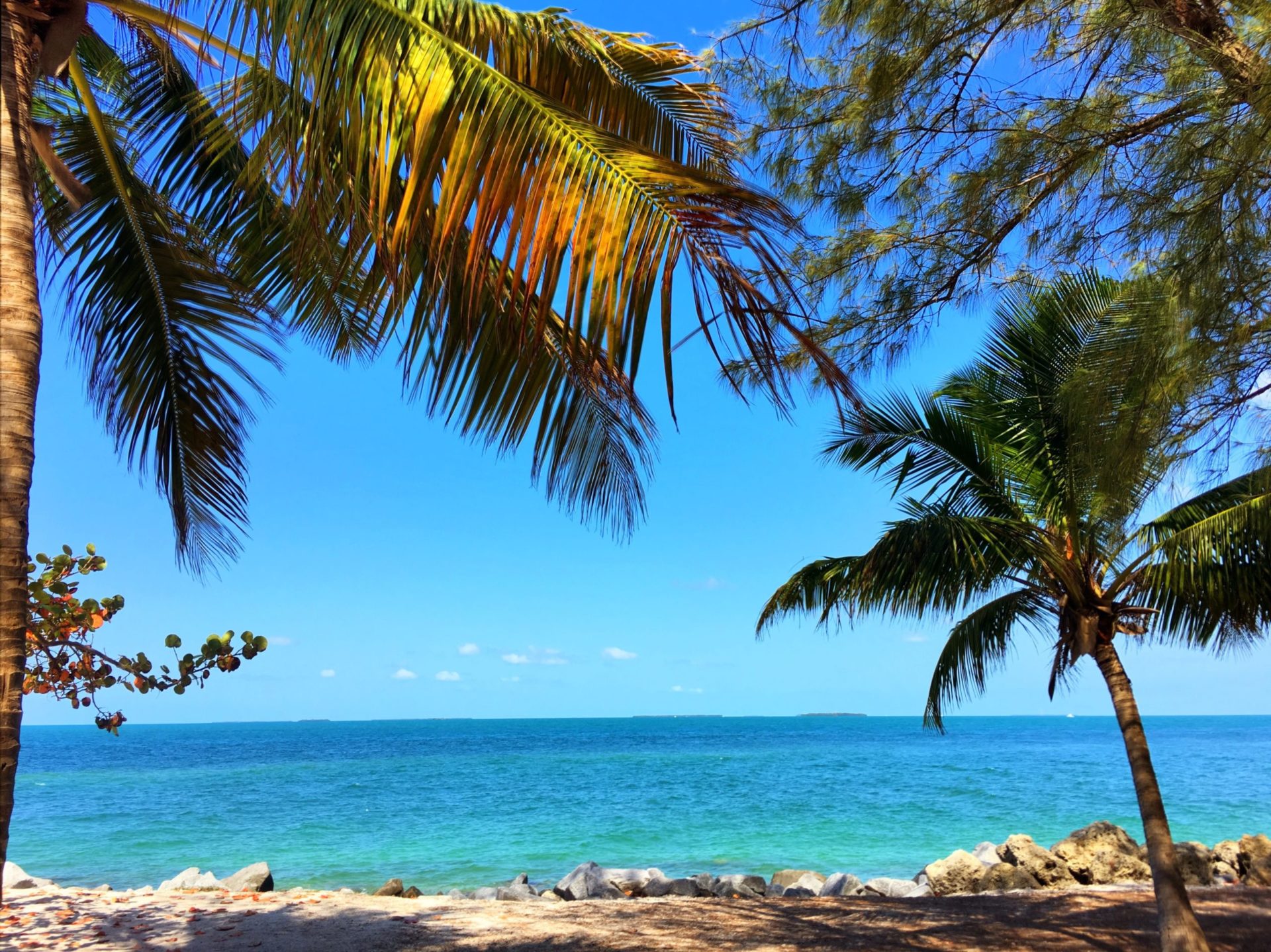 Wassertemperatur Florida: Palmenstrand und Meer auf der Insel Key West am südlichsten Punkt der Florida Keys