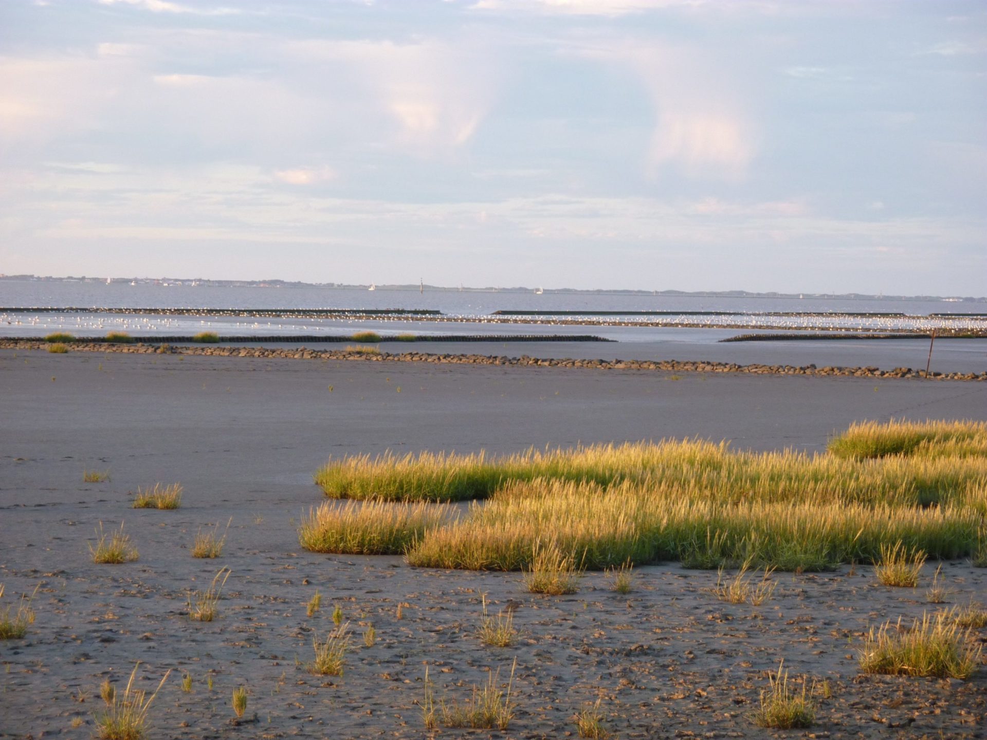 Wassertemperatur Norddeich