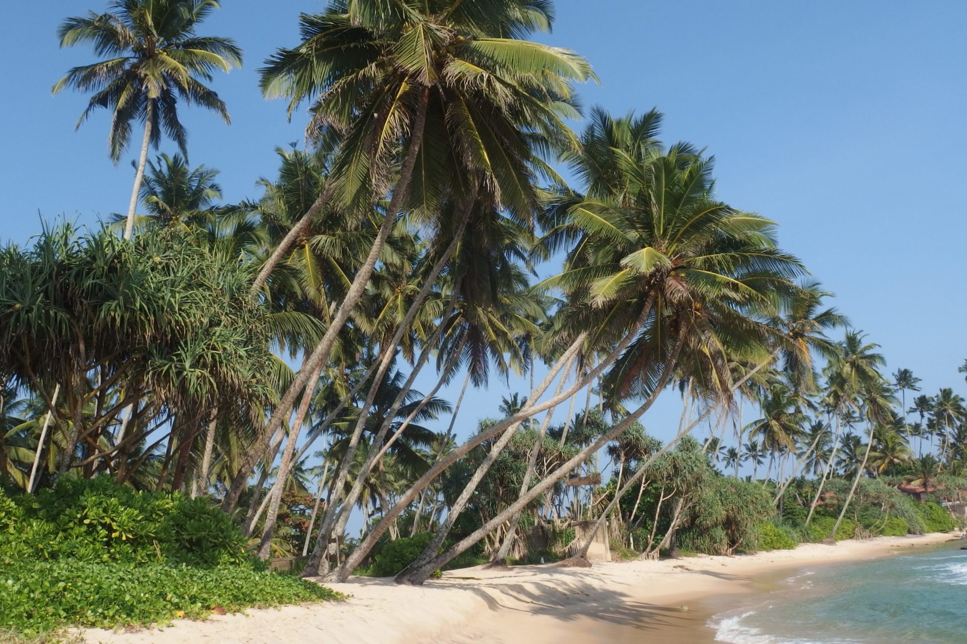 Wassertemperatur Sri Lanka