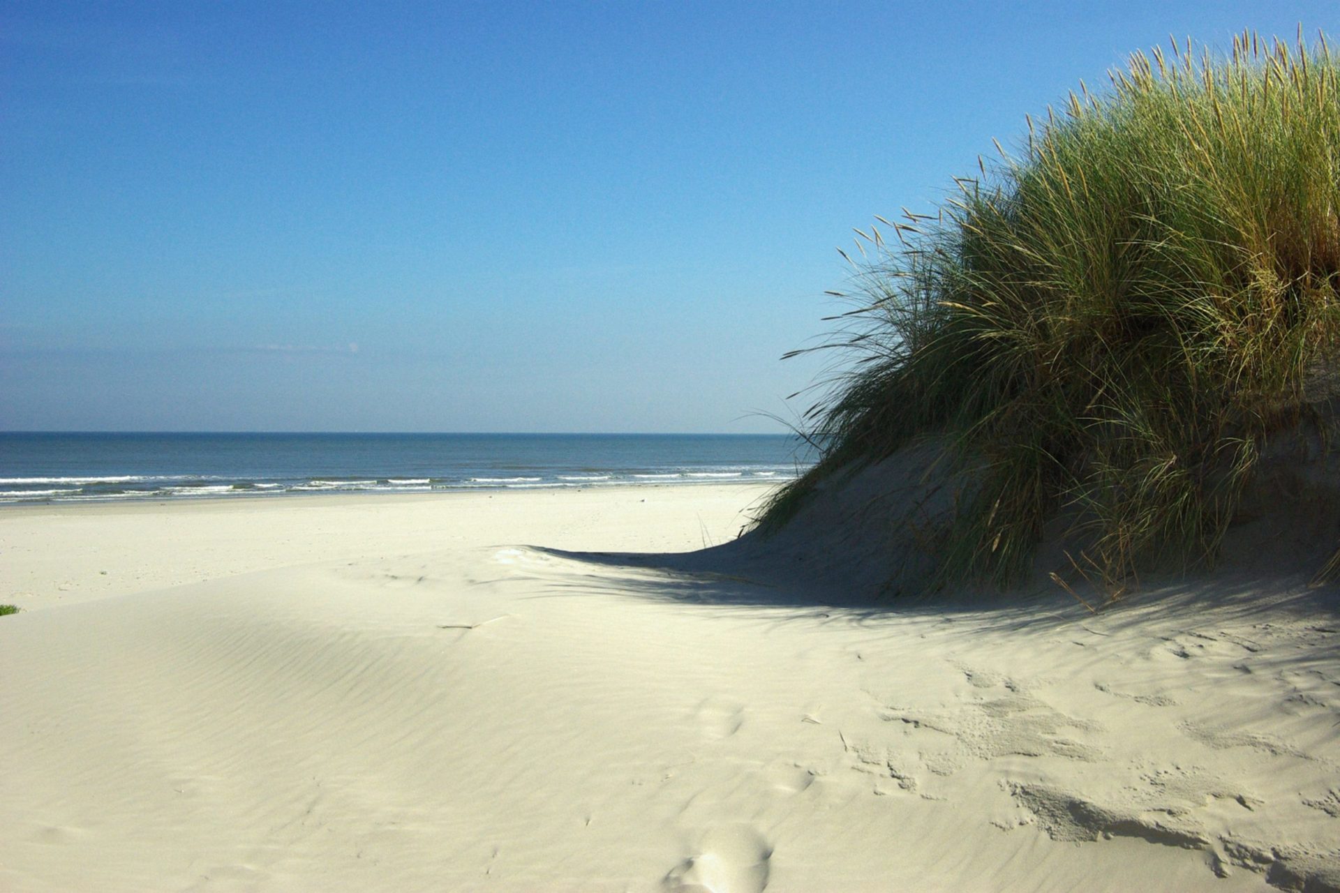 Wassertemperatur Ameland