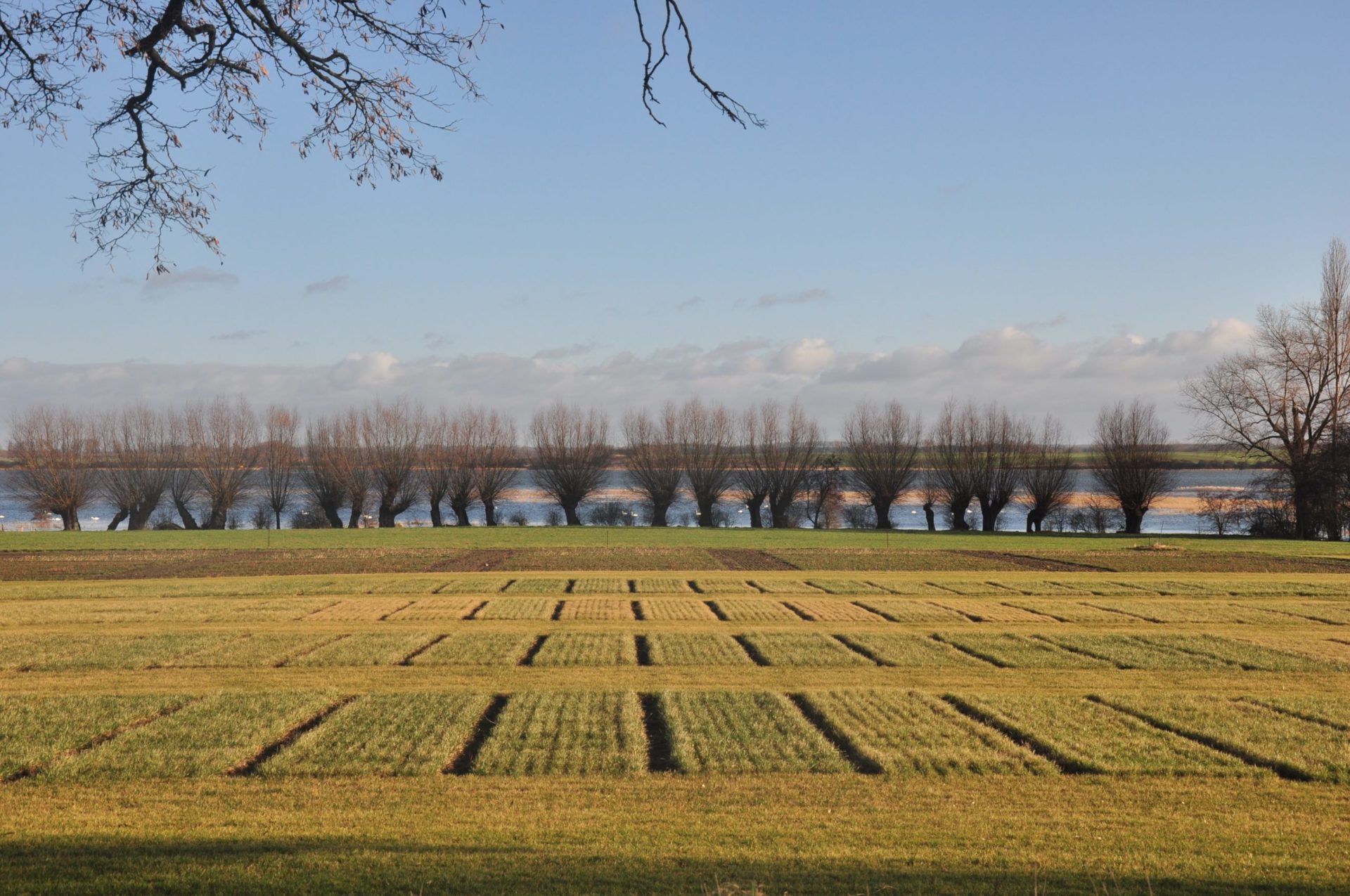 Wassertemperatur Poel