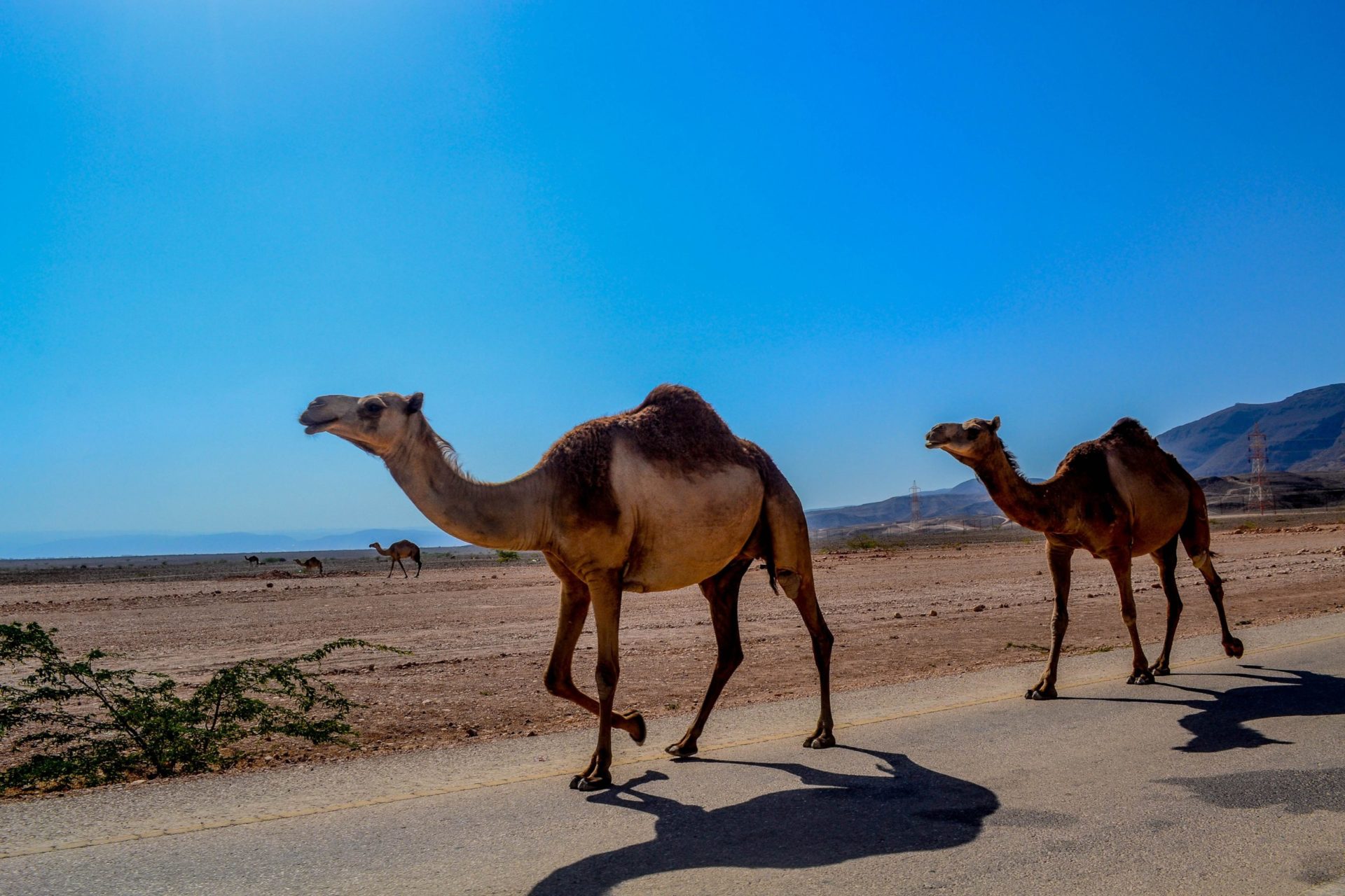 Wassertemperatur Salalah